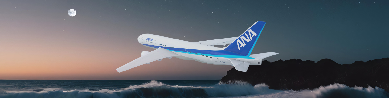 All Nippon Airways